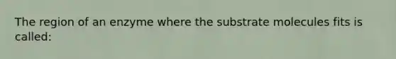 The region of an enzyme where the substrate molecules fits is called: