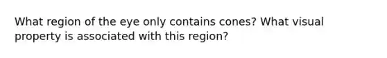 What region of the eye only contains cones? What visual property is associated with this region?