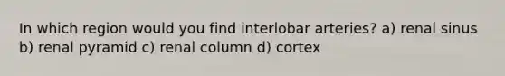 In which region would you find interlobar arteries? a) renal sinus b) renal pyramid c) renal column d) cortex