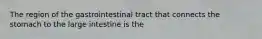 The region of the gastrointestinal tract that connects the stomach to the large intestine is the