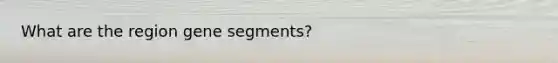 What are the region gene segments?