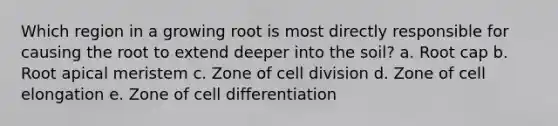 Which region in a growing root is most directly responsible for causing the root to extend deeper into the soil? a. Root cap b. Root apical meristem c. Zone of cell division d. Zone of cell elongation e. Zone of cell differentiation