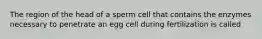 The region of the head of a sperm cell that contains the enzymes necessary to penetrate an egg cell during fertilization is called