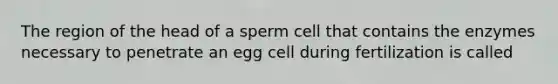 The region of the head of a sperm cell that contains the enzymes necessary to penetrate an egg cell during fertilization is called