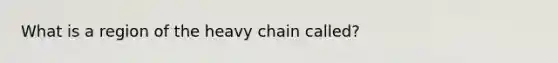 What is a region of the heavy chain called?