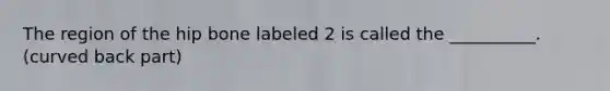 The region of the hip bone labeled 2 is called the __________. (curved back part)