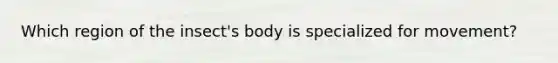 Which region of the insect's body is specialized for movement?
