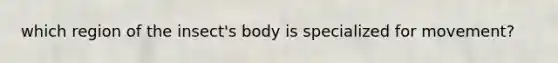 which region of the insect's body is specialized for movement?