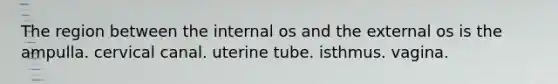 The region between the internal os and the external os is the ampulla. cervical canal. uterine tube. isthmus. vagina.