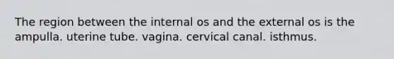 The region between the internal os and the external os is the ampulla. uterine tube. vagina. cervical canal. isthmus.