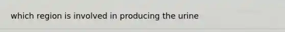 which region is involved in producing the urine