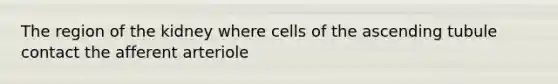 The region of the kidney where cells of the ascending tubule contact the afferent arteriole