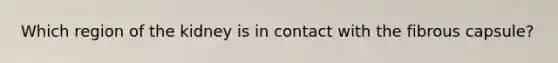 Which region of the kidney is in contact with the fibrous capsule?