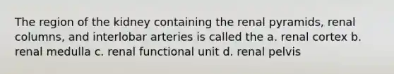 The region of the kidney containing the renal pyramids, renal columns, and interlobar arteries is called the a. renal cortex b. renal medulla c. renal functional unit d. renal pelvis