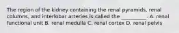 The region of the kidney containing the renal pyramids, renal columns, and interlobar arteries is called the __________. A. renal functional unit B. renal medulla C. renal cortex D. renal pelvis