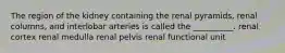 The region of the kidney containing the renal pyramids, renal columns, and interlobar arteries is called the __________. renal cortex renal medulla renal pelvis renal functional unit