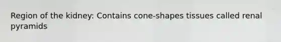 Region of the kidney: Contains cone-shapes tissues called renal pyramids