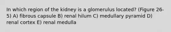 In which region of the kidney is a glomerulus located? (Figure 26-5) A) fibrous capsule B) renal hilum C) medullary pyramid D) renal cortex E) renal medulla