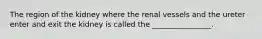 The region of the kidney where the renal vessels and the ureter enter and exit the kidney is called the ________________.