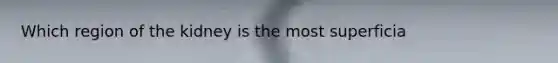 Which region of the kidney is the most superficia