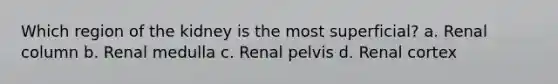 Which region of the kidney is the most superficial? a. Renal column b. Renal medulla c. Renal pelvis d. Renal cortex