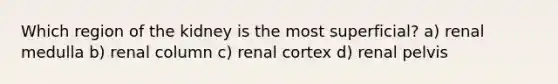 Which region of the kidney is the most superficial? a) renal medulla b) renal column c) renal cortex d) renal pelvis