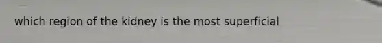 which region of the kidney is the most superficial