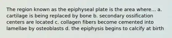 The region known as the epiphyseal plate is the area where... a. cartilage is being replaced by bone b. secondary ossification centers are located c. collagen fibers become cemented into lamellae by osteoblasts d. the epiphysis begins to calcify at birth