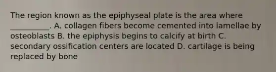 The region known as the epiphyseal plate is the area where __________. A. collagen fibers become cemented into lamellae by osteoblasts B. the epiphysis begins to calcify at birth C. secondary ossification centers are located D. cartilage is being replaced by bone