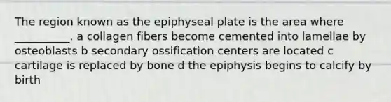 The region known as the epiphyseal plate is the area where __________. a collagen fibers become cemented into lamellae by osteoblasts b secondary ossification centers are located c cartilage is replaced by bone d the epiphysis begins to calcify by birth