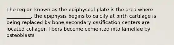 The region known as the epiphyseal plate is the area where __________. the epiphysis begins to calcify at birth cartilage is being replaced by bone secondary ossification centers are located collagen fibers become cemented into lamellae by osteoblasts