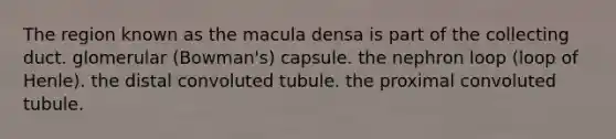 The region known as the macula densa is part of the collecting duct. glomerular (Bowman's) capsule. the nephron loop (loop of Henle). the distal convoluted tubule. the proximal convoluted tubule.