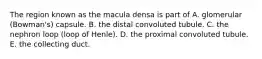 The region known as the macula densa is part of A. glomerular (Bowman's) capsule. B. the distal convoluted tubule. C. the nephron loop (loop of Henle). D. the proximal convoluted tubule. E. the collecting duct.