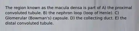 The region known as the macula densa is part of A) the proximal convoluted tubule. B) the nephron loop (loop of Henle). C) Glomerular (Bowman's) capsule. D) the collecting duct. E) the distal convoluted tubule.