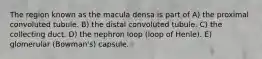 The region known as the macula densa is part of A) the proximal convoluted tubule. B) the distal convoluted tubule. C) the collecting duct. D) the nephron loop (loop of Henle). E) glomerular (Bowman's) capsule.