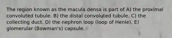 The region known as the macula densa is part of A) the proximal convoluted tubule. B) the distal convoluted tubule. C) the collecting duct. D) the nephron loop (loop of Henle). E) glomerular (Bowman's) capsule.