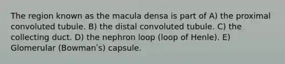 The region known as the macula densa is part of A) the proximal convoluted tubule. B) the distal convoluted tubule. C) the collecting duct. D) the nephron loop (loop of Henle). E) Glomerular (Bowmanʹs) capsule.