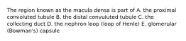 The region known as the macula densa is part of A. the proximal convoluted tubule B. the distal convuluted tubule C. the collecting duct D. the nephron loop (loop of Henle) E. glomerular (Bowman's) capsule