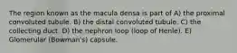 The region known as the macula densa is part of A) the proximal convoluted tubule. B) the distal convoluted tubule. C) the collecting duct. D) the nephron loop (loop of Henle). E) Glomerular (Bowman's) capsule.