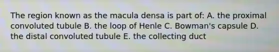 The region known as the macula densa is part of: A. the proximal convoluted tubule B. the loop of Henle C. Bowman's capsule D. the distal convoluted tubule E. the collecting duct