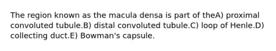 The region known as the macula densa is part of theA) proximal convoluted tubule.B) distal convoluted tubule.C) loop of Henle.D) collecting duct.E) Bowman's capsule.