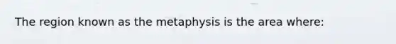 The region known as the metaphysis is the area where: