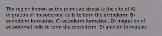 The region known as the primitive streak is the site of A) migration of mesodermal cells to form the endoderm. B) endoderm formation. C) ectoderm formation. D) migration of ectodermal cells to form the mesoderm. E) amnion formation.