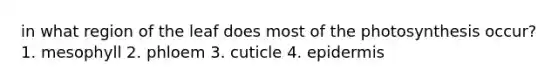 in what region of the leaf does most of the photosynthesis occur? 1. mesophyll 2. phloem 3. cuticle 4. epidermis