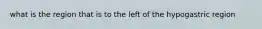 what is the region that is to the left of the hypogastric region