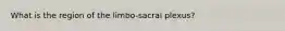 What is the region of the limbo-sacral plexus?