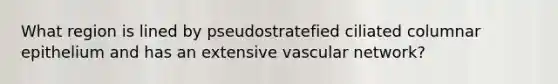 What region is lined by pseudostratefied ciliated columnar epithelium and has an extensive vascular network?