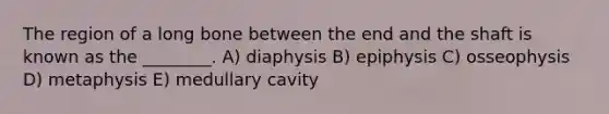 The region of a long bone between the end and the shaft is known as the ________. A) diaphysis B) epiphysis C) osseophysis D) metaphysis E) medullary cavity