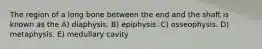 The region of a long bone between the end and the shaft is known as the A) diaphysis. B) epiphysis. C) osseophysis. D) metaphysis. E) medullary cavity