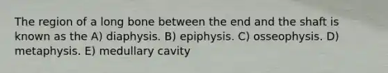 The region of a long bone between the end and the shaft is known as the A) diaphysis. B) epiphysis. C) osseophysis. D) metaphysis. E) medullary cavity